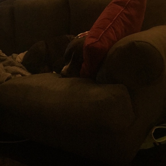 Meet your Posher, Christine - Picture 1 of 1